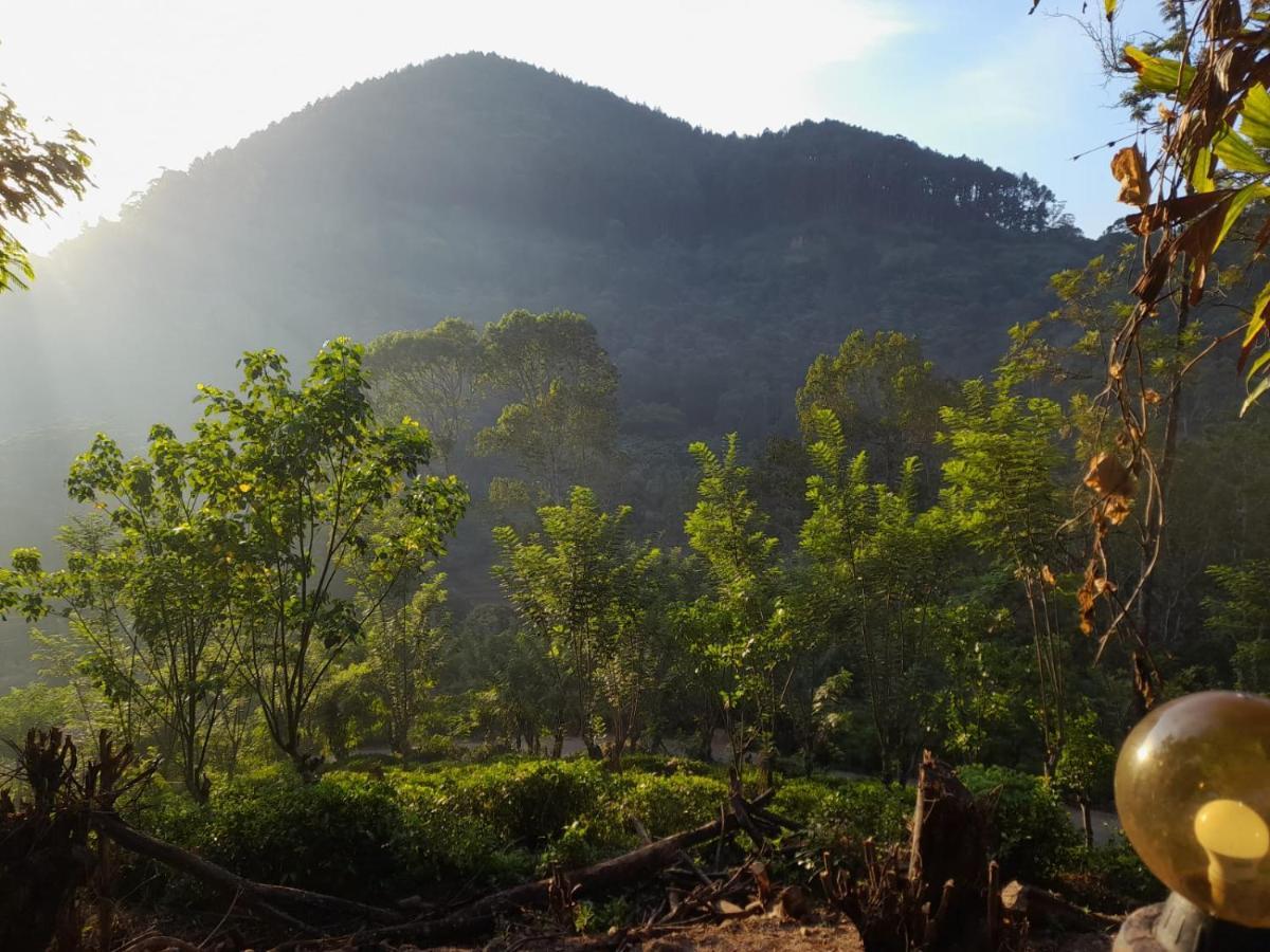 Bed and Breakfast Ceylon Rich Leaves Ella Exterior foto