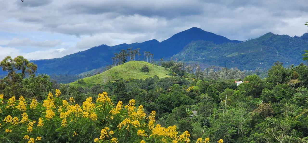 Bed and Breakfast Ceylon Rich Leaves Ella Exterior foto